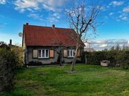 Kleines Einfamilienhaus in idyllischer Lage - Doberlug-Kirchhain