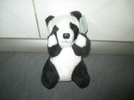 Teddy Bär, Panda, neu, 17 cm, Benny Toys, - Eschwege Zentrum