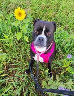 Kuschelmaus Elli wartet - Bad Oeynhausen