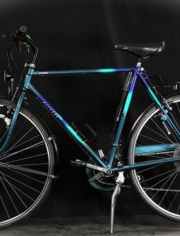 Elegantes Herrenvelo ALLEGRO / 57cm B25/235 - Aarau