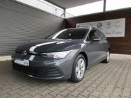 VW Golf Variant, 2.0 TDI Life ", Jahr 2021 - Lastrup