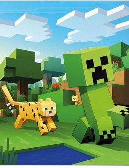 Reinders! Poster Poster Minecraft, Spiele (1 St)