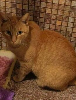 ROTE SELTENHEIT! SATURN SUCHT DICH! - Augsburg