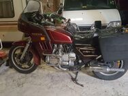 Honda GL 1100 - Seesen