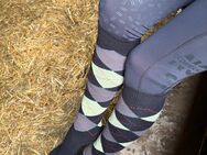 Zahlreiche Reitsocken zu verkaufen 🧦😛 - Trier