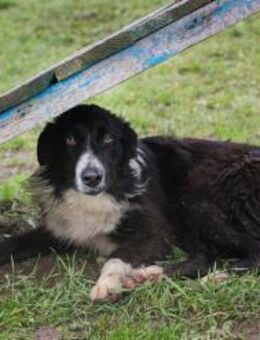 INDIE -Liebe und Geduld machen glücklich - Overath