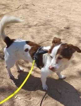 Kinder braucht Liebe und Freiraum - Berlin