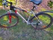 Verkaufe kaum genutztes, gut erhaltenes Herren Fahrrad - Plessa