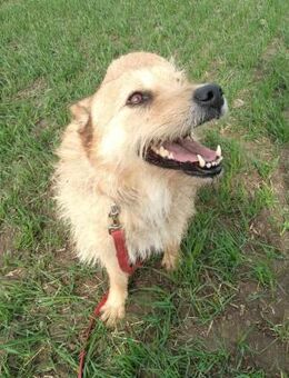 Bella: Oldie - but goldie - Overath