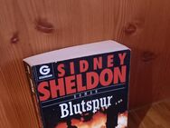 Blutspur. Broschierte TB-Ausgabe v. 19, Goldmann Verlag, Sidney Sheldon (Autor) - Rosenheim