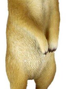 I.GE.A. Dekofigur Erdmännchen, Tierfigur