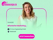 Mitarbeiter (m/w/d) Marketing - Waibstadt