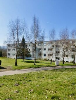 2 Wohnungen mit Traumaussicht 5 Zimmerwohnung mit zwei Badezimmern - Detmold