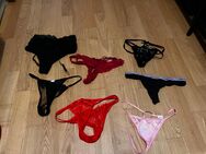 Getragene Tangas/Dessous/Socken/Dessous - Schkeuditz Zentrum