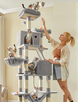 XXL Kratzbaum 206 cm – Der perfekte Spiel- und Rückzugsort für Ihre Katzen Hellgrau Set34425 - Ingolstadt