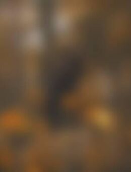 Mar*** - Frankenberg (Eder)