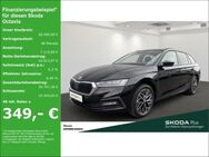 Skoda Octavia, 1.5 TSI Combi, Jahr 2024 - Neuss