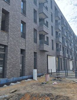 Musterwohnung fertig - Bezug Juli 2025 - zentrumsnahe 4-Zimmer-Wohnung im Erstbezug - Greifswald