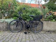 eBike FISCHER CityBike CITA 3.8i - Dortmund