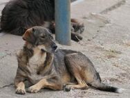Destino sucht seine Menschen - Kallmünz