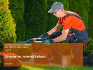 Gärtner/in (m/w/d) Teilzeit - Köln