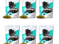 Geloren Horse HA Apfel für Pferde Kollagengelees 6 x (60 Stk., 450 g) Set24252 - Ingolstadt