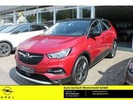 Opel Grandland 1.2 Turbo EU6d 2020 AHK-abnehmbar LED Apple CarPlay Android Auto Mehrzonenklima - Niederahr