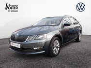 Skoda Octavia, 1.0 TSI Combi Tour, Jahr 2020 - Uelzen