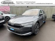 Skoda Octavia, 2.0 TDI IV Combi Sportline Smart Link, Jahr 2022 - Castrop-Rauxel