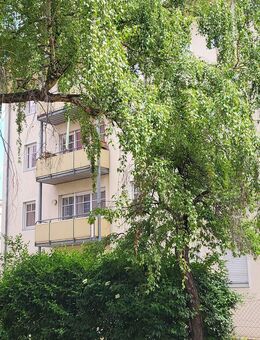 Lichtdurchflutete 2-RW mit Balkon im Neubau in ruhiger grüner Lage von Dresden-Cotta - Dresden