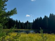 Heute am vogtlandsee - Auerbach (Vogtland)