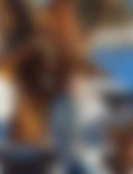 Fra*** - Hohenstein-Ernstthal