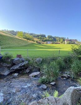 Ein- bis Zweifamilienhaus im Grünen - Malsburg-Marzell