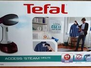 Acess Steam von Tefal - Dampfbürste - 40 € inclusive Versand - Dülmen