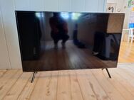 Samsung Fernsher 43 Zoll - Haren (Ems) Zentrum