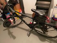 Verschiedene Fahrräder zu verkaufen - Grafenrheinfeld
