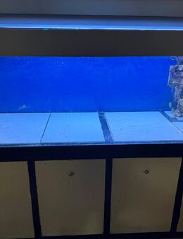 Meerwasseraquaruim L200X B70X H60 cm - Hünxe