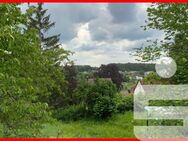 LAGE, LAGE, LAGE - traumhaftes Wohnbaugrundstück mit wunderschöner Aussicht und Fernblick - Dietenhofen