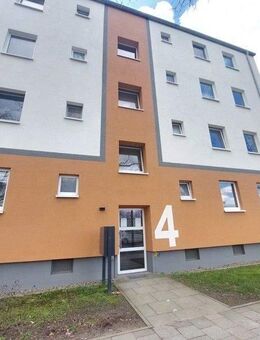 Auf gute Nachbarschaft! - Braunschweig