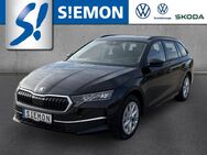 Skoda Octavia, 2.0 TDI Combi Selection, Jahr 2024 - Emsdetten