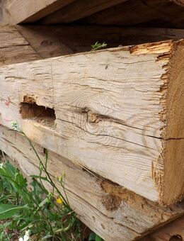 Antik Altholz Massivholz Vollholz Fachwerk Scheune Holz Balken Landhaus shabby chic - Salzatal