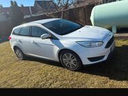 Ford Focus 1,5 td - Harzgerode