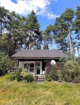 Erbpacht Bannetze: kl. Wochenendhaus mit Bäumen und Tümpel - Winsen (Aller)