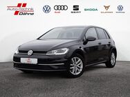 VW Golf, 2.0 TDI VII Comfortline, Jahr 2019 - Wittenberge