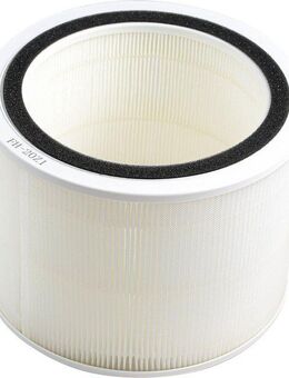 Hanseatic HEPA-Filter Ersatzfilter für Hanseatic Luftreiniger »KJ250«, Zubehör für Hanseatic Luftreiniger KJ250
