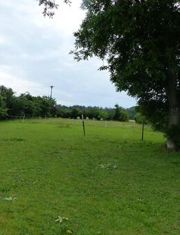 Selbstversorgerhof bei Belgern mit Scheune, Nebengelass und Garten wartet auf kreative Gestalter! - Belgern-Schildau