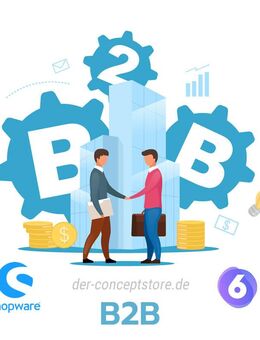 B2B Shop mit Shopware 6 - Schliengen
