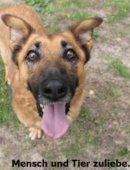 Leon braucht Liebe - Berlin