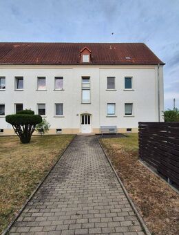 3 Raum Wohnung im Erdgeschoß - Elsteraue