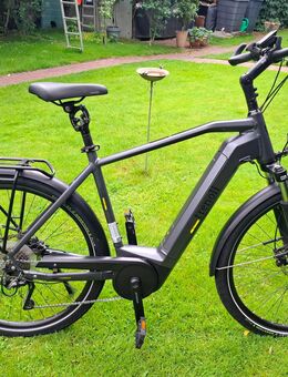 E Trekking Bike Trenoli Tanaro Sportivo Performance Bosch Power Tube 625 Wh Motor Bosch Perf. Line - Lorsch (Karolingerstadt)